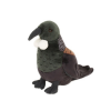 Native NZ Bird Tui