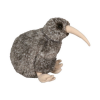 Native NZ Bird Kiwi