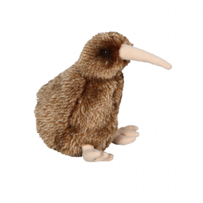 Native NZ Bird Kiwi