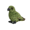 Native NZ Bird Kea