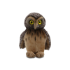 Native NZ Bird Ruru Morepork