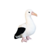 Native NZ Bird Albatross