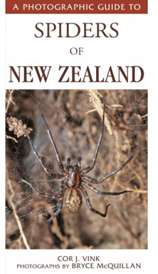 A Photographic Guide to Spiders of New Zealand