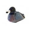 Native NZ Bird Whio