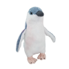 Native NZ Bird Penguin Korora