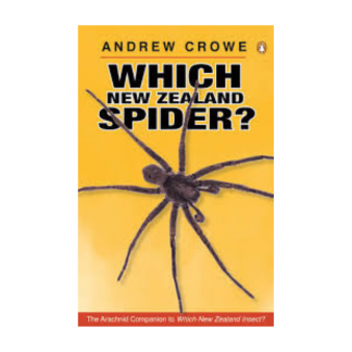 Which New Zealand Spider?