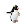 Native NZ Bird Penguin