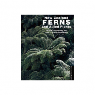 New Zealand Ferns and Allied Plants