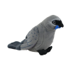 Native NZ Bird Kokako