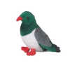 Native NZ Bird Kereru