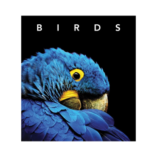 Birds Deluxe Series
