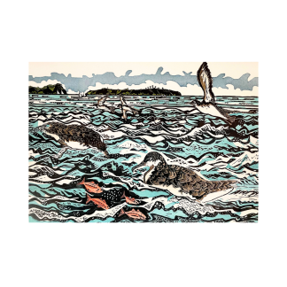 Card - Pakaha Shearwaters off Tiritiri Matangi
