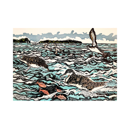 Card - Pakaha Shearwaters off Tiritiri Matangi