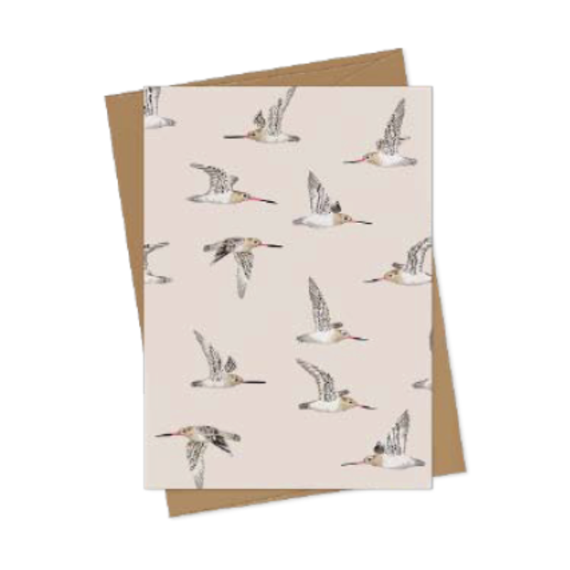 Card - Melissa Boardman -Kuaka