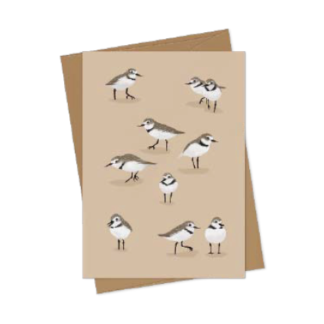 Card - Melissa Boardman - Wrybill