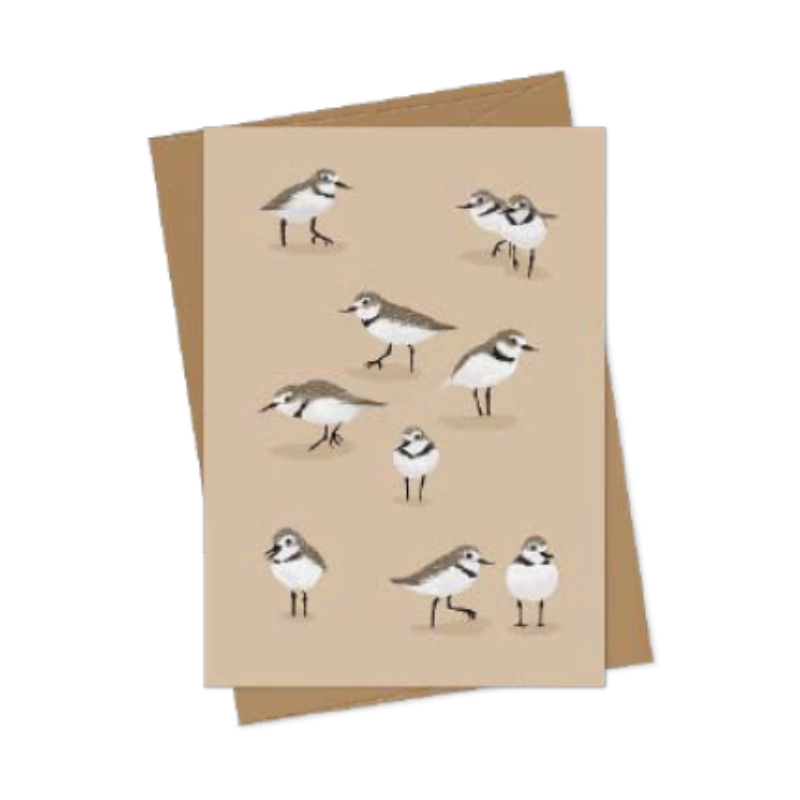 Card - Melissa Boardman - Wrybill