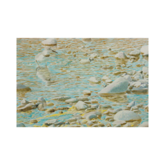 Card - Keith Woodley - Ngutu pare Riverbed