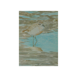 Card - Keith Woodley - Tūturiwhatu