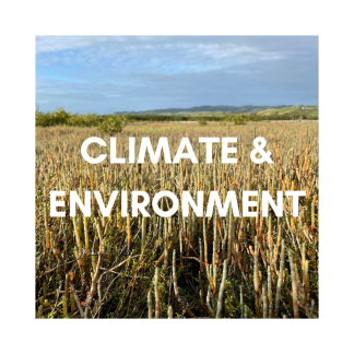 Environment & Climate