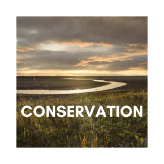 Conservation