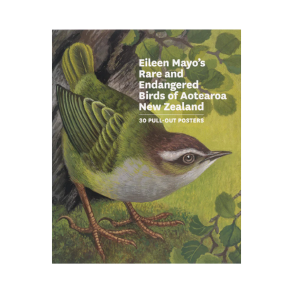 Eileen Mayo's Rare and Endangered Birds of Aotearoa NZ