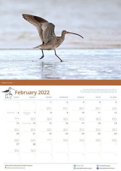 2022 Shorebird Calendar