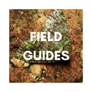 Field Guides
