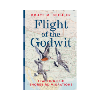Flight of the Godwit