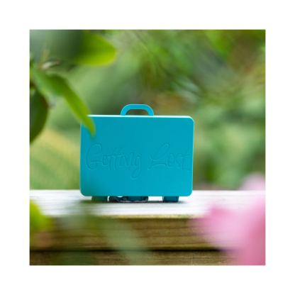Getting Lost Suitcase - Image 4