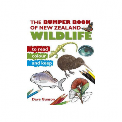 Bumper Book of NZ Wildlife to Read Colour and Keep Pukorokoro Miranda Shorebird Centre bookshop