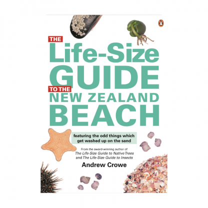 Life Size Guide to NZ Beach