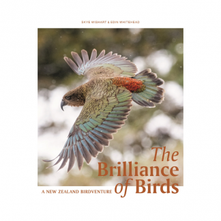 The Brilliance of BIrds. A New Zealand Birdventure