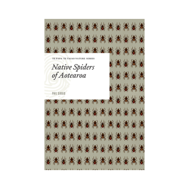 Native Spiders of Aotearoa