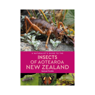 A Naturalist's Guide to the Insects of Aotearoa New Zealand