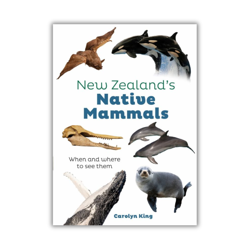 New Zealand's Native Mammals