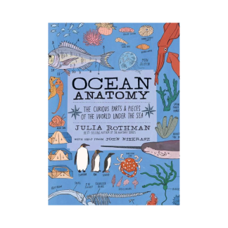 Ocean Anatomy