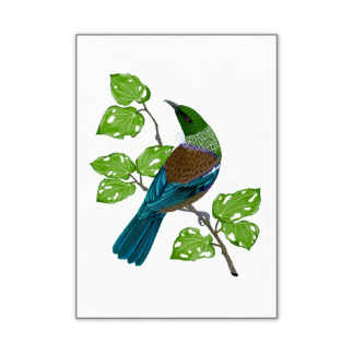 A4 Art Print - Tūī