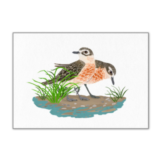 A4 Art Print - Tūturiwhatu