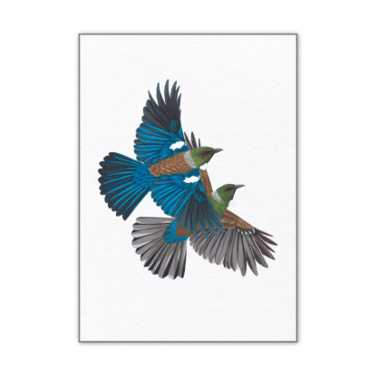 A4 Art Print - Flying Tūī