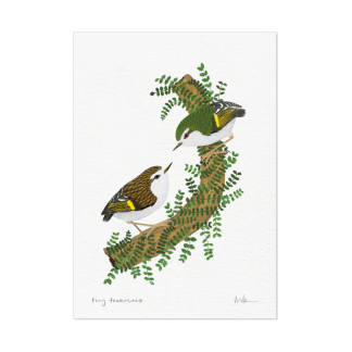 A4 Art Print - Tītīpounamu
