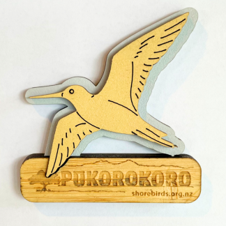 Pūkorokoro Magnet Kuaka