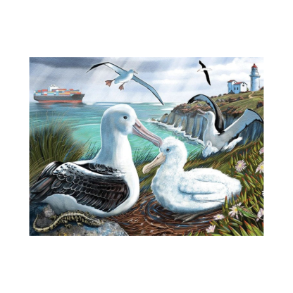 Treasures of Aotearoa Puzzle - Series 3