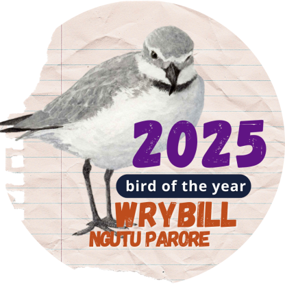 Wrybill BOTY Sticker