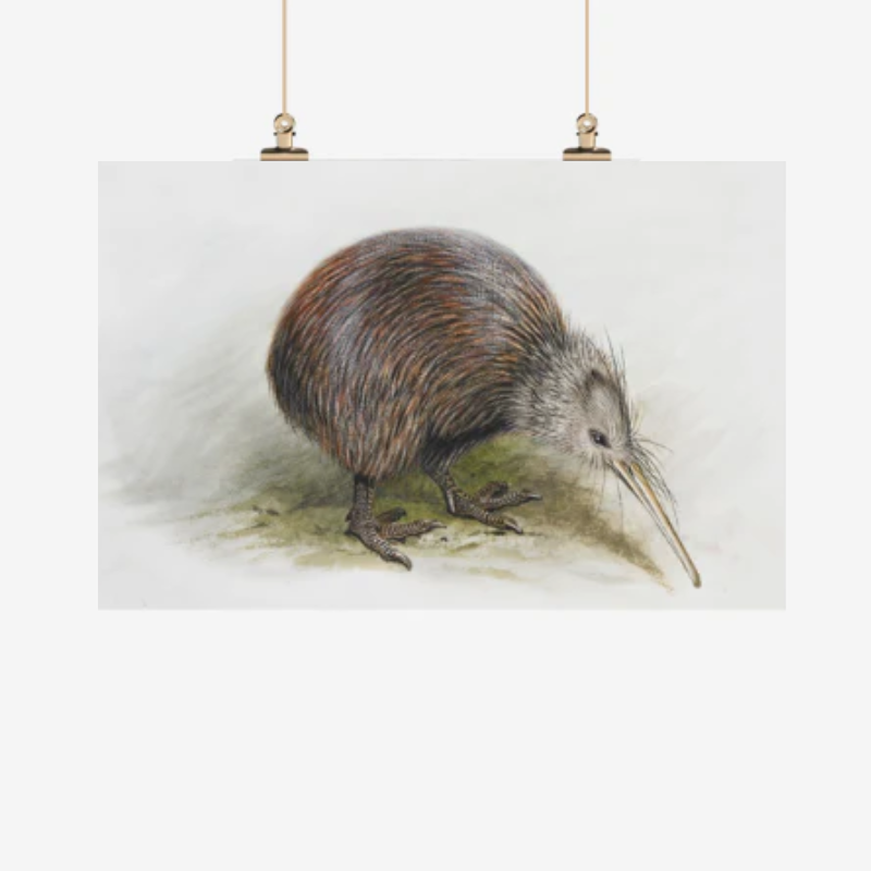 Tea Towel - Te Papa Kiwi