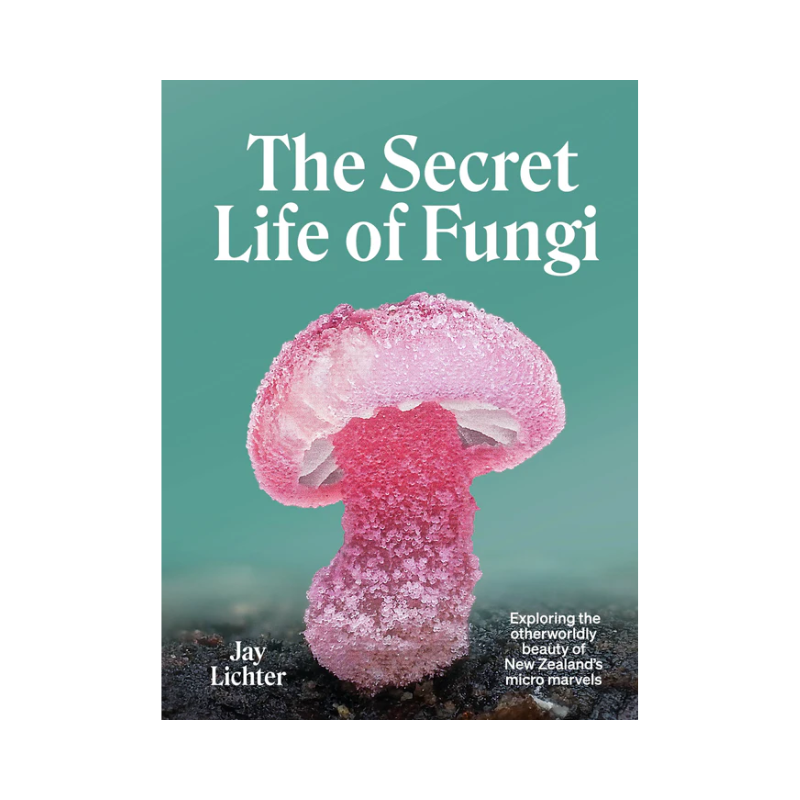 The Secret Life of Fungi