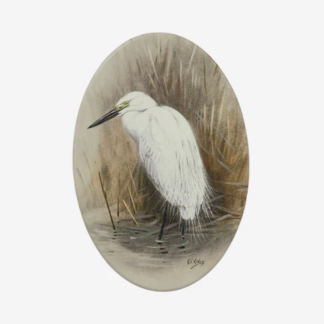 Ceramic Art Tile - Kotuku