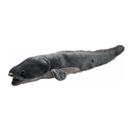 Soft Toys with Sound - Large - Image 2