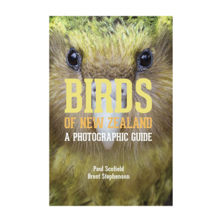 Birds of New Zealand: A photographic guide