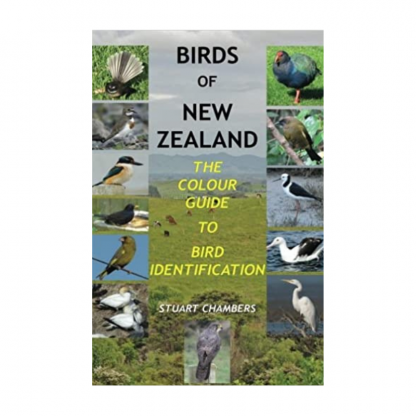 nz colour guide to bird identification