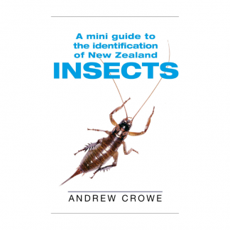 A Mini Guide to the Identification of New Zealand Insects
